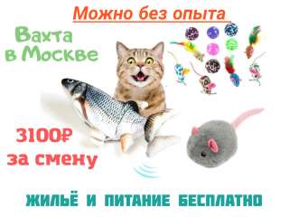 Упаковщик вахта в Москве на склад товаров для животных без опыта с проживанием и питанием