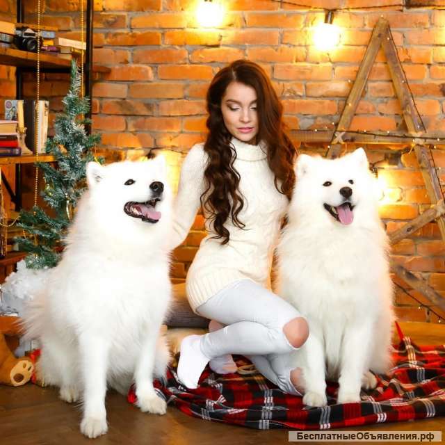 Яркий массаж