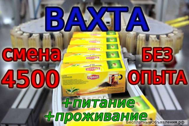 Упаковщики чая ВАХТА в Москве