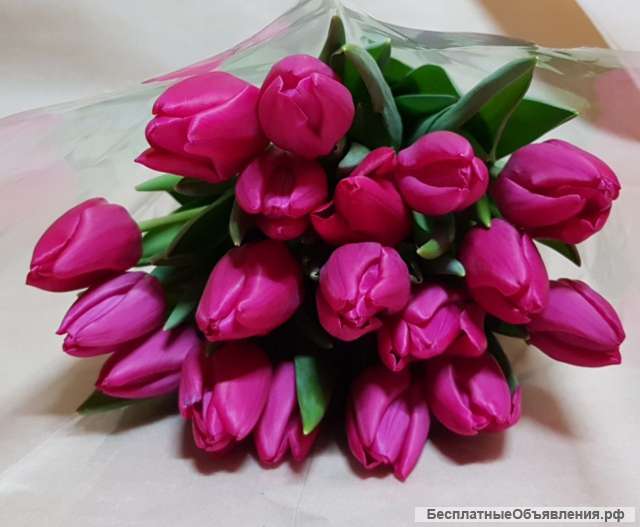 Тюльпаны оптом и в розницу