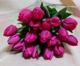 Тюльпаны оптом и в розницу