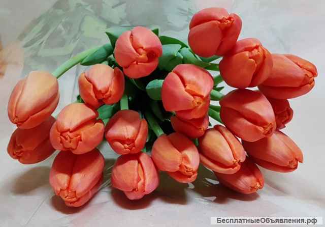 Тюльпаны оптом и в розницу
