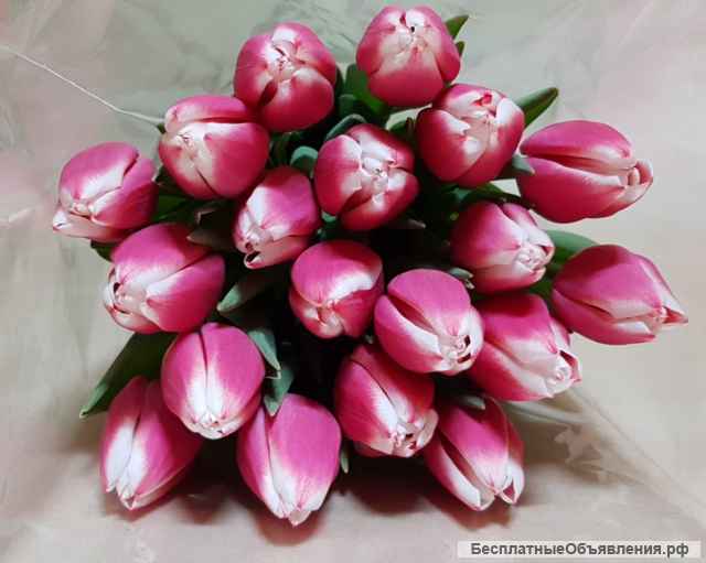 Тюльпаны оптом и в розницу