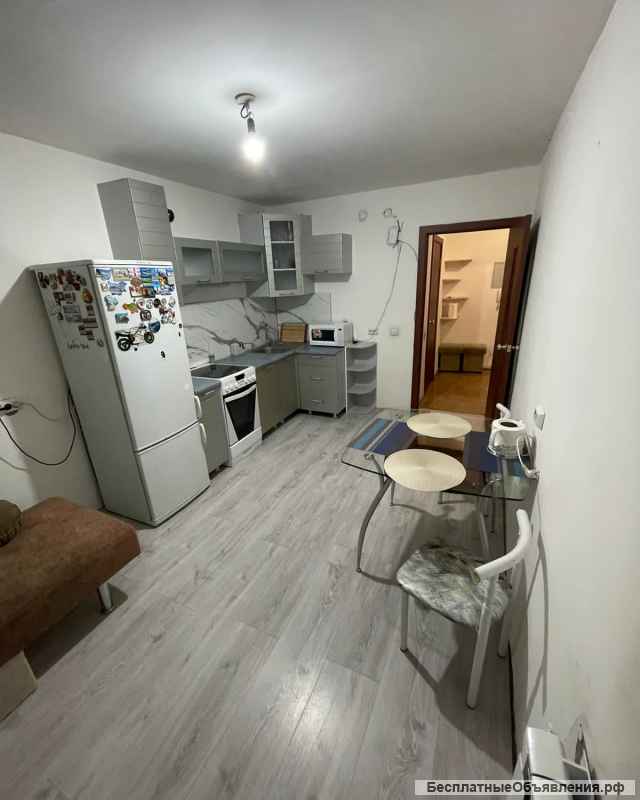 1-комнатная квартира с мебелью