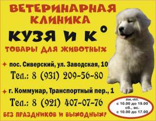 "Кузя и К", ветеринарные клиники в Сиверском и в Коммунаре Гатчинского района
