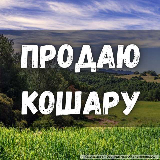 Кошару Московский р-он, с. Предтеченка