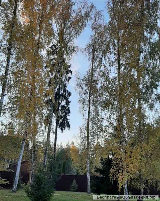 Дома 658 кв.м. КП "Лесные Дали-М"