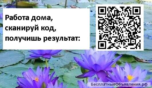 Работа дома