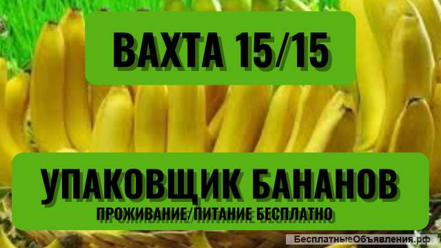 Вахта МОСКВА Упаковщик/ца Бананов от 15 смен