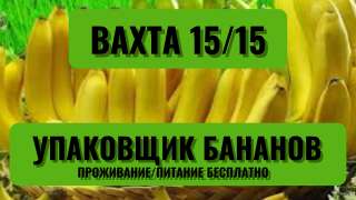Вахта МОСКВА Упаковщик/ца Бананов от 15 смен