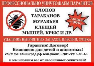 Уничтожение клопов, тараканов, клещей, кротов, короеда, муравьёв