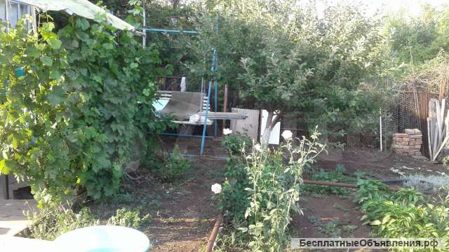 Дачный участок