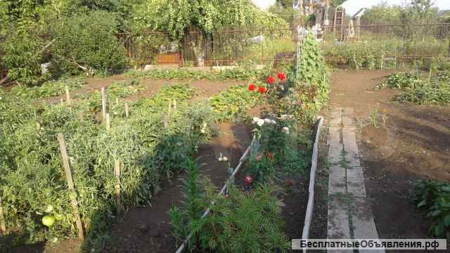 Дачный участок