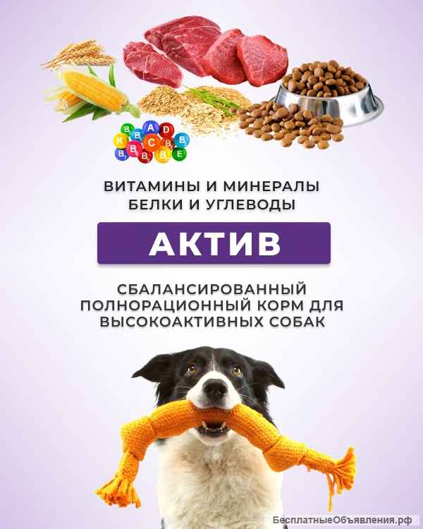 Сухой корм для кошек и собак