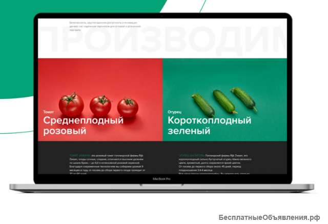 Создание и SEO-продвижение сайтов