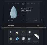 Создание и SEO-продвижение сайтов