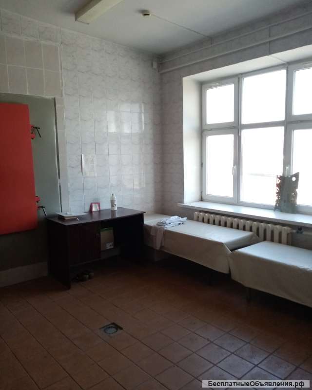 Помещения в аренду общей площадью 261,9 кв.м.