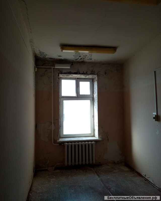 Помещения в аренду общей площадью 261,9 кв.м.