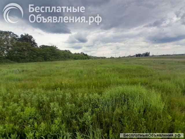 Участок 9,8 п. Пригородный