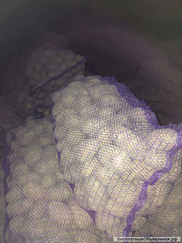 Картофель оптом