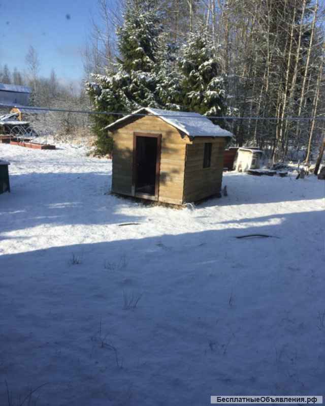 Сдаю дачу