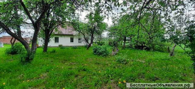 Хороший дом