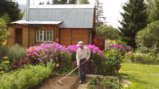 Жилой дом с участком