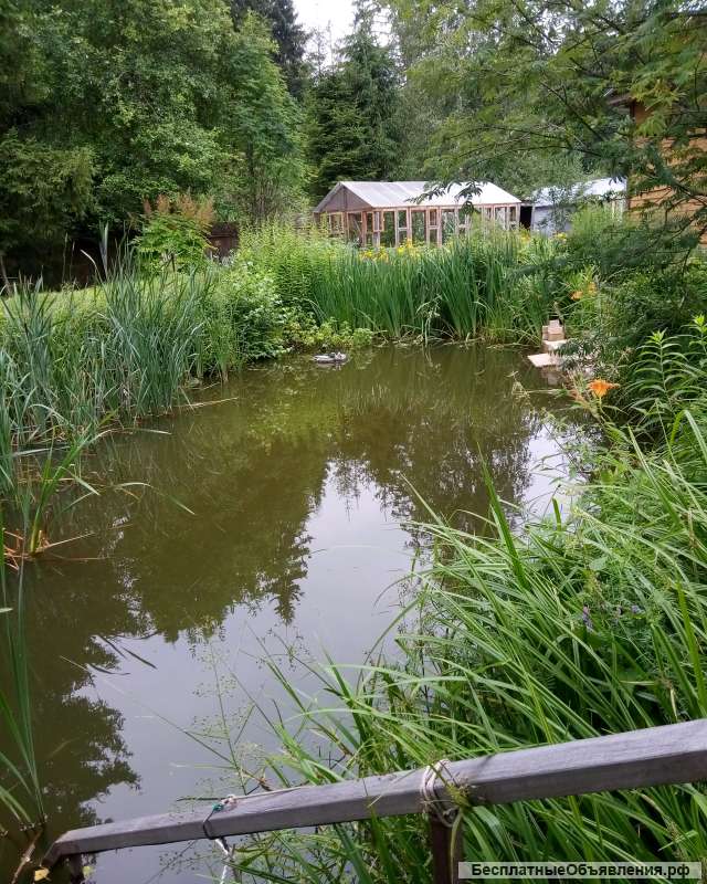 Жилой дом с участком