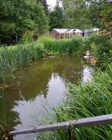 Жилой дом с участком