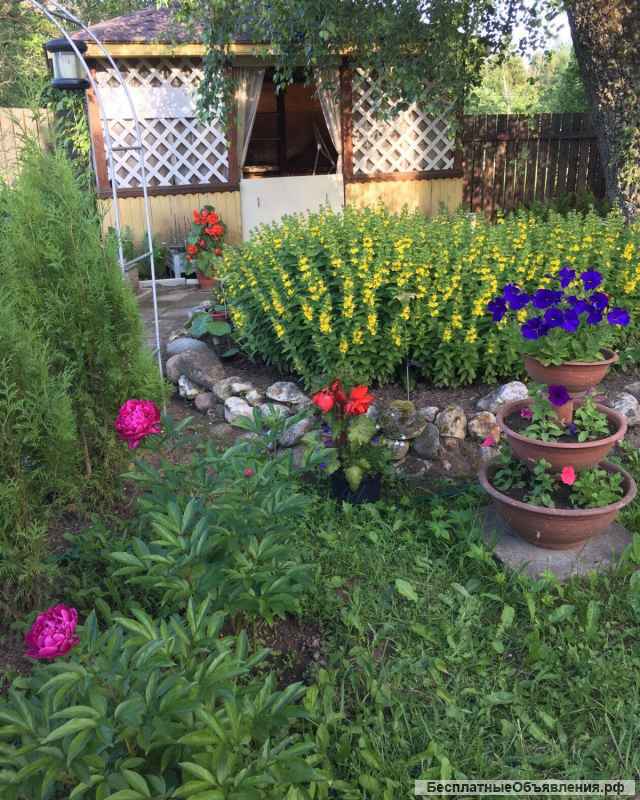 Жилой дом с участком