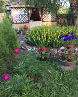 Жилой дом с участком