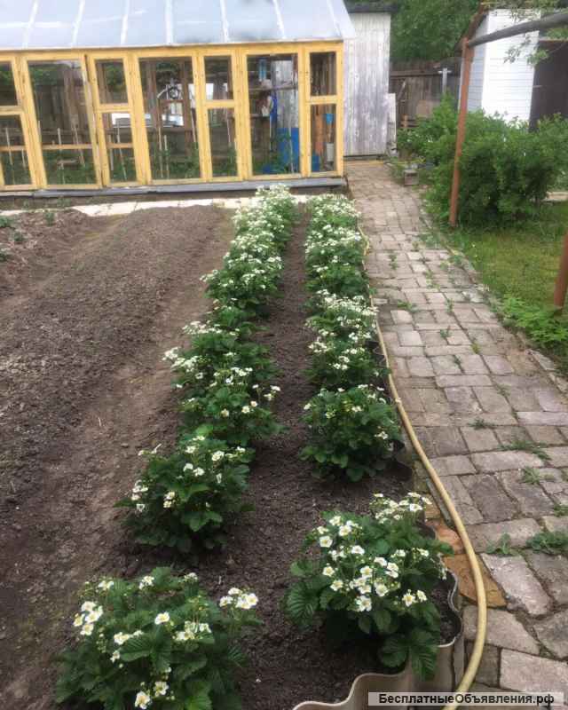 Жилой дом с участком