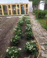 Жилой дом с участком