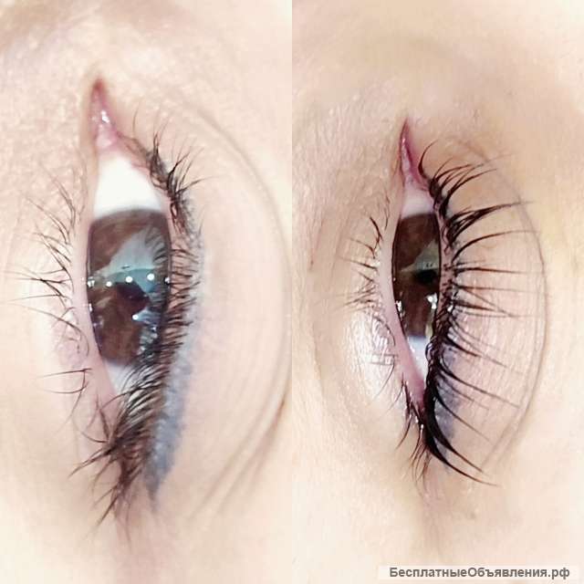 Курсы Ламинирование ресниц/бровей, botox, Velvet