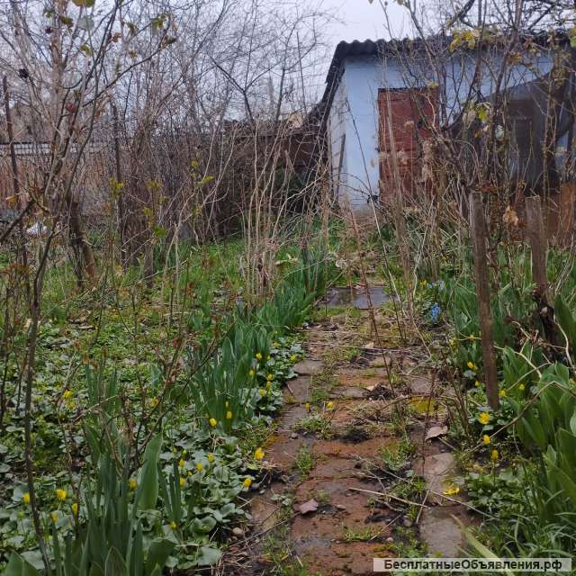 Квартира на земле