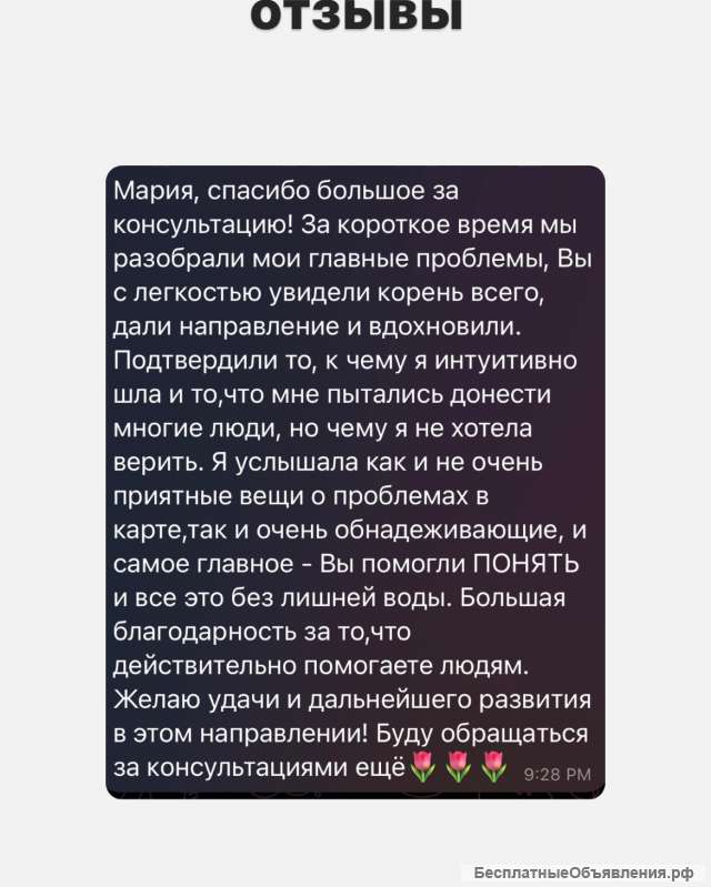 Ведический астролог