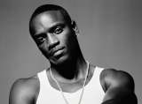 Подборка картин по номерам Эйкон | Akon, 40/50см
