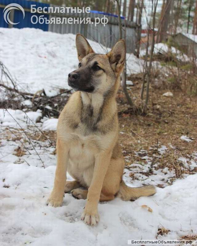 Ютта ищет любящую семью