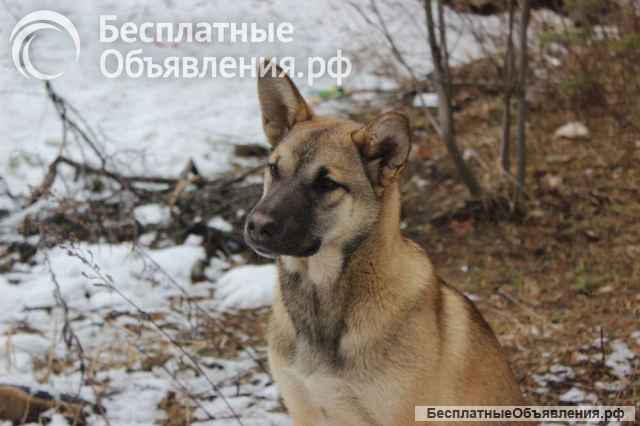 Ютта ищет любящую семью