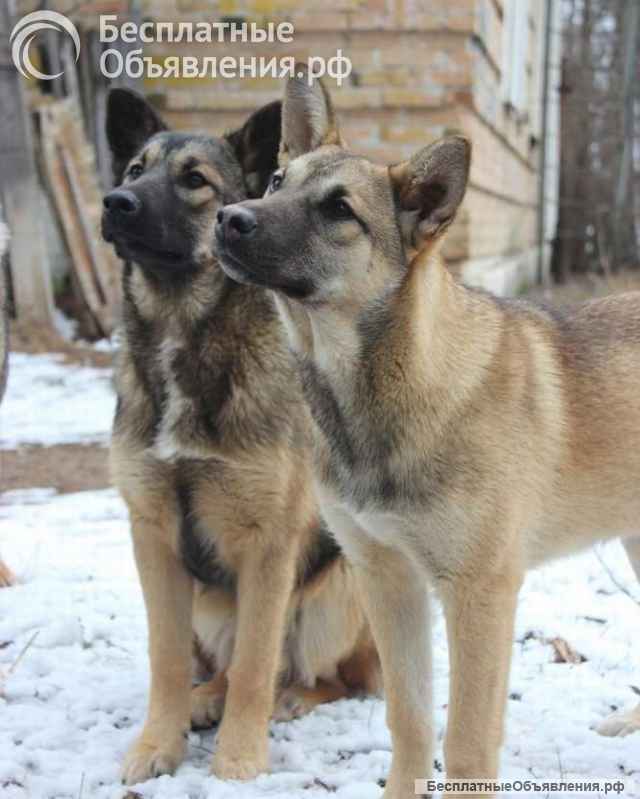 Ютта ищет любящую семью