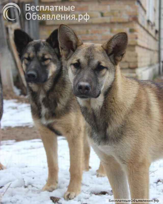 Ютта ищет любящую семью