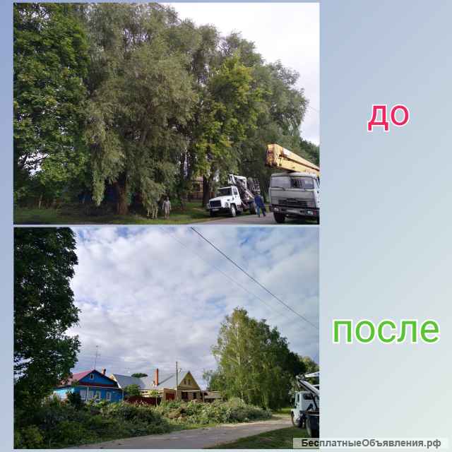 Аренда авто-вышек 18, 28 и 35 метров, спил деревьев, высотные работы
