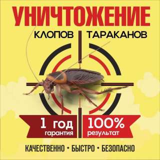 Уничтожение тараканов, клопов, мурав7