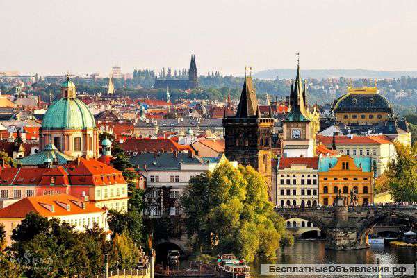 Стажировки в Чехии