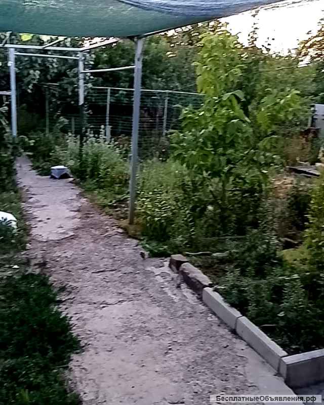 Дачу с вагончиком