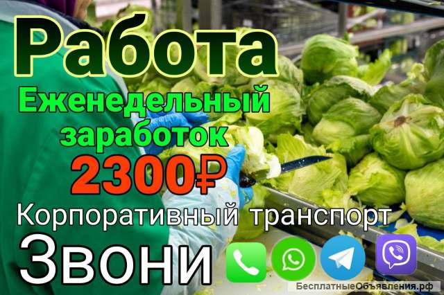 Упаковщик на производство Еженедельная Зарплата