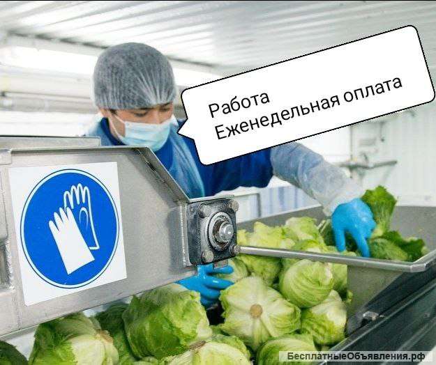 Упаковщик на производство Еженедельная Зарплата