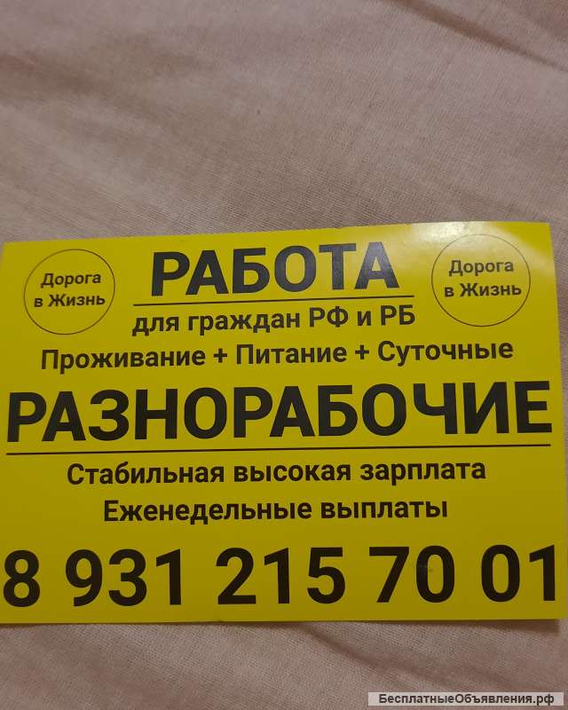 Разнорабочие