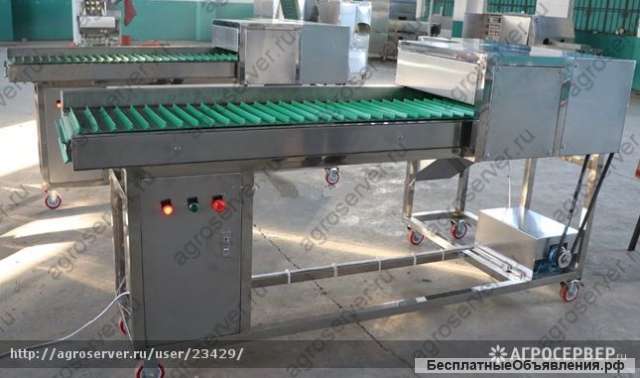 Линия переработки, шинковки капусты, смешивание с солью, морковью