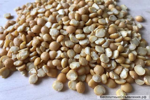 Машины для мойки и стручкоотделения гороха, фасоли, бобовых культур